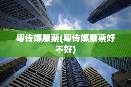 粵傳媒股票(粵傳媒股票好不好)