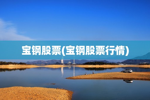 寶鋼股票(寶鋼股票行情)