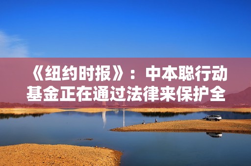 《紐約時報》：中本聰行動基金正在通過法律來保護全美比特幣的權利