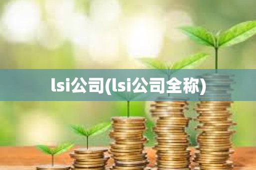 lsi公司(lsi公司全稱)