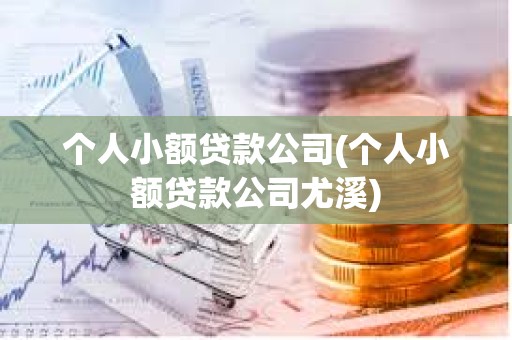 個人小額貸款公司(個人小額貸款公司尤溪) 個人小額貸款公司(個人小額貸款公司尤溪)