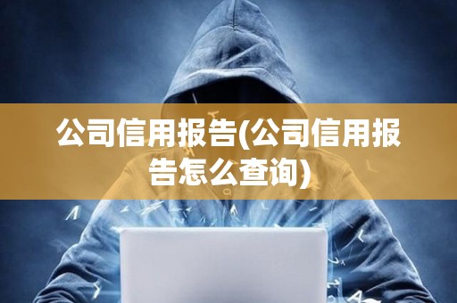 公司信用報(bào)告(公司信用報(bào)告怎么查詢)