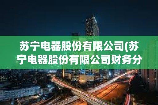 蘇寧電器股份有限公司(蘇寧電器股份有限公司財務分析論文) 蘇寧電器股份有限公司(蘇寧電器股份有限公司財務分析論文)