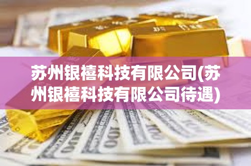 蘇州銀禧科技有限公司(蘇州銀禧科技有限公司待遇)