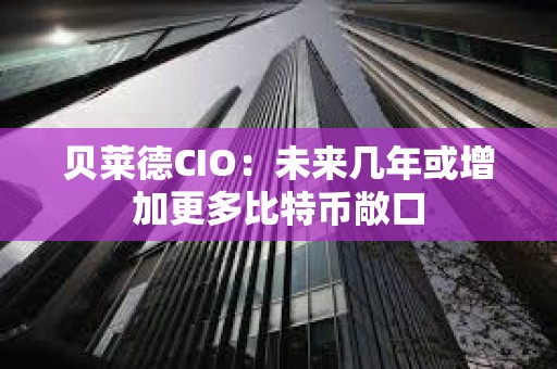 貝萊德CIO：未來幾年或增加更多比特幣敞口