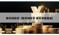 新天域投資（新天域投資 幕后老板是誰）