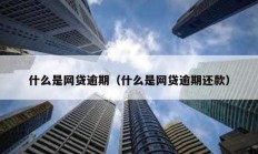 什么是網(wǎng)貸逾期（什么是網(wǎng)貸逾期還款）