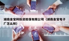 湖南金寶利投資擔保有限公司（湖南金寶電子廠怎么樣）