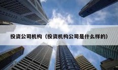 投資公司機構(gòu)（投資機構(gòu)公司是什么樣的）