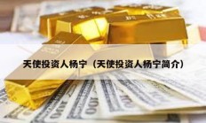 天使投資人楊寧（天使投資人楊寧簡介）