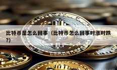 比特幣是怎么回事（比特幣怎么回事時漲時跌?）