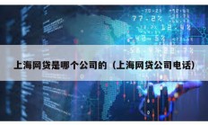 上海網(wǎng)貸是哪個公司的（上海網(wǎng)貸公司電話）