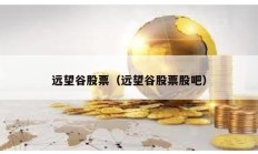 遠(yuǎn)望谷股票（遠(yuǎn)望谷股票股吧）