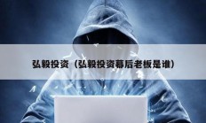 弘毅投資（弘毅投資幕后老板是誰(shuí)）