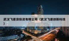 武漢飛速貸投資有限公司（武漢飛速創新科技）
