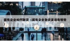 國有企業(yè)如何融資（國有企業(yè)融資渠道有哪些）
