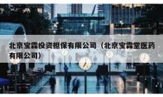 北京寶霖投資擔(dān)保有限公司（北京寶霖堂醫(yī)藥有限公司）
