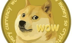 doge 錢包,gopay錢包下載