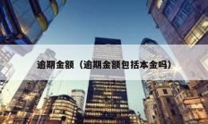 逾期金額（逾期金額包括本金嗎）