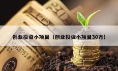 創業投資小項目（創業投資小項目30萬）