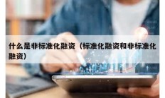 什么是非標(biāo)準(zhǔn)化融資（標(biāo)準(zhǔn)化融資和非標(biāo)準(zhǔn)化融資）
