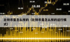 比特幣是怎么樣的（比特幣是怎么樣的運行模式）