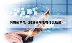 網貸薅羊毛（網貸薅羊毛有什么后果）