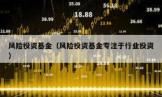 風險投資基金（風險投資基金專注于行業(yè)投資）