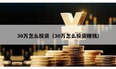 30萬怎么投資（30萬怎么投資賺錢）