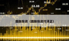 圓融投資（圓融投資付澤正）