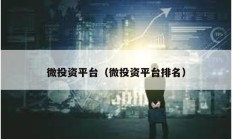 微投資平臺（微投資平臺排名）