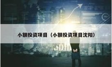 小額投資項(xiàng)目（小額投資項(xiàng)目沈陽(yáng)）