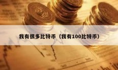 我有很多比特幣（我有100比特幣）