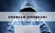 比特幣是什么?。ū忍貛攀鞘裁囱?）