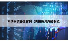 天使投資基金官網（天使投資真的假的）
