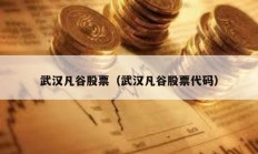 武漢凡谷股票（武漢凡谷股票代碼）