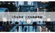 1萬元投資（1萬元投資項目）
