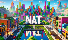 關(guān)于 $NAT 與DMT 的一些思考