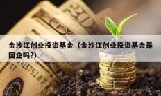 金沙江創(chuàng)業(yè)投資基金（金沙江創(chuàng)業(yè)投資基金是國(guó)企嗎?）