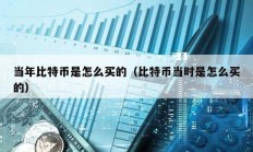 當(dāng)年比特幣是怎么買的（比特幣當(dāng)時(shí)是怎么買的）