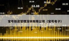 寶號投資管理深圳有限公司（寶號電子）