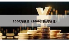 1000萬投資（1000萬投資項目）