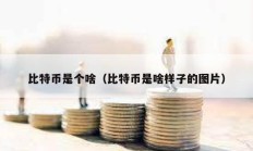 比特幣是個啥（比特幣是啥樣子的圖片）