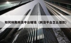 如何利用網(wǎng)貸平臺(tái)賺錢（網(wǎng)貸平臺(tái)怎么借款）