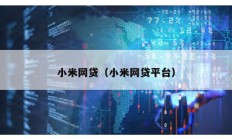 小米網(wǎng)貸（小米網(wǎng)貸平臺）