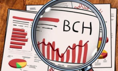 bch創(chuàng)始價(jià)格,BCHC最近多少錢(qián)