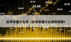 比特幣是什么幣（比特幣是什么幣種結(jié)算）