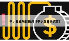 中小企業(yè)項(xiàng)目投資（中小企業(yè)投資者）