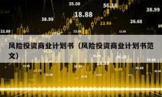 風(fēng)險投資商業(yè)計劃書（風(fēng)險投資商業(yè)計劃書范文）