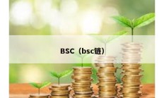 BSC（bsc鏈）